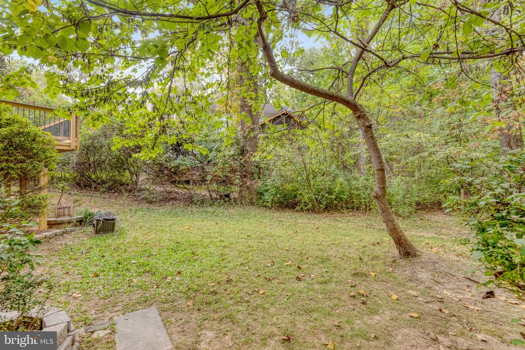 12210 ROWAN TREE DRIVE