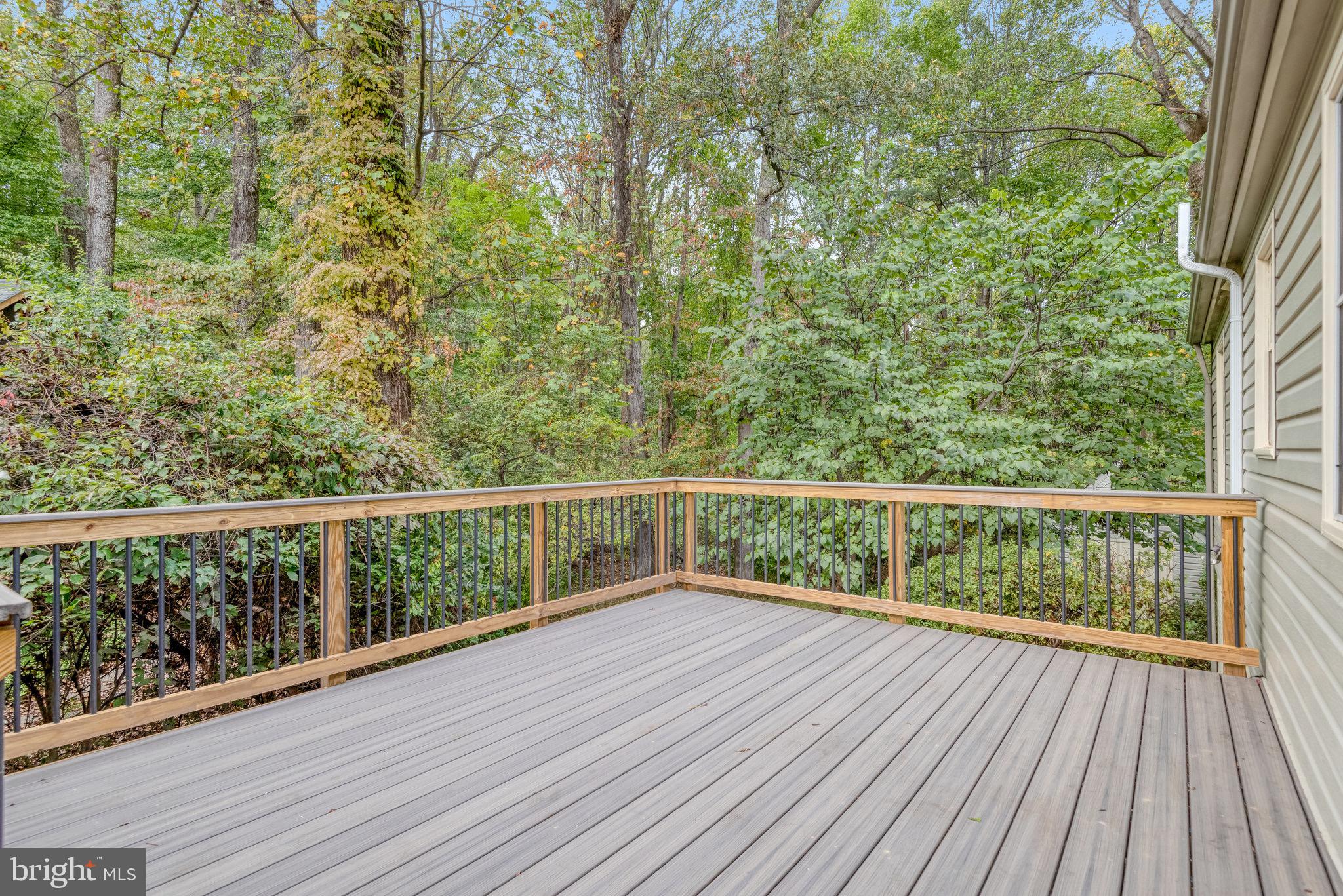 12210 ROWAN TREE DRIVE