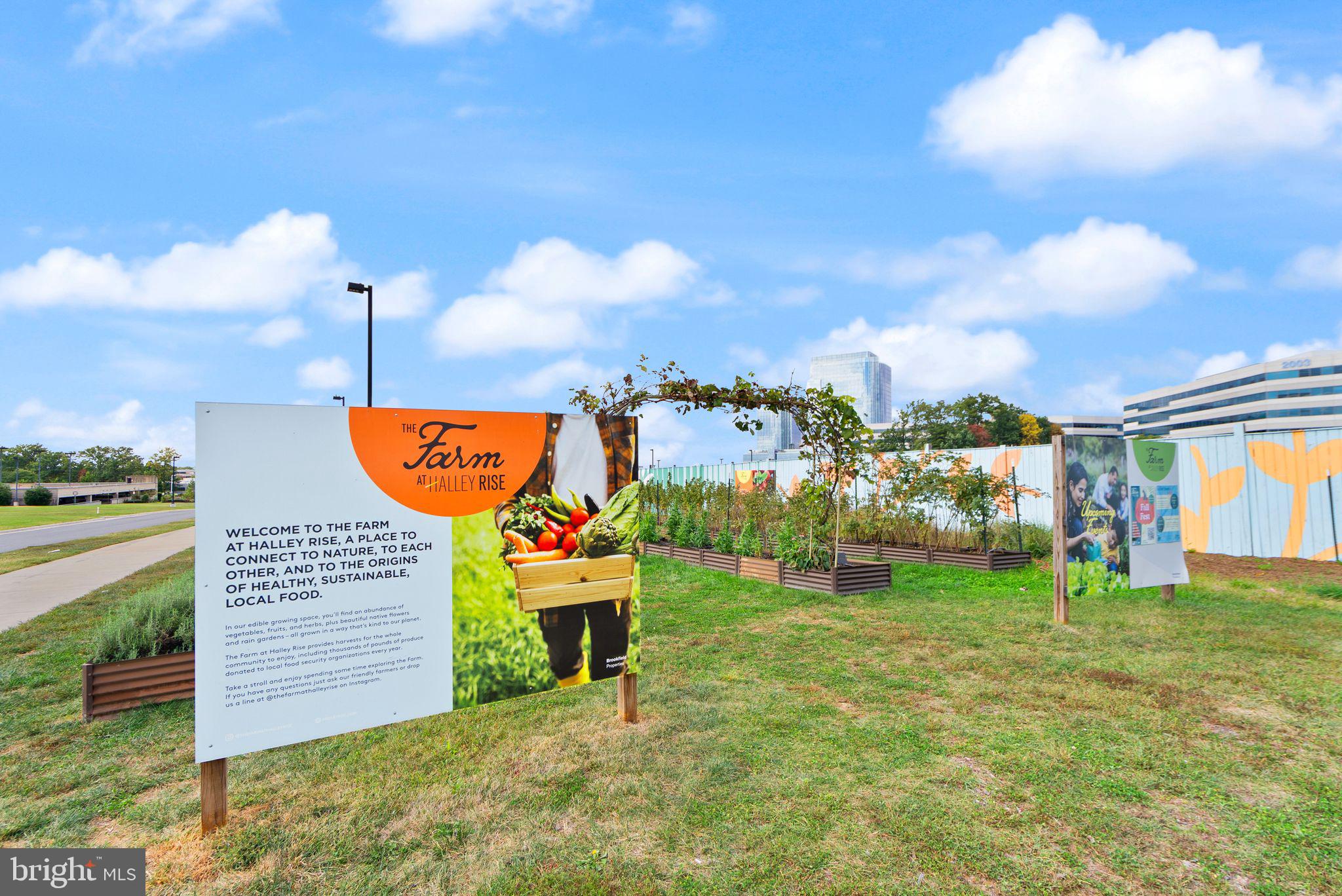 2042 ROYAL FERN COURT 1B