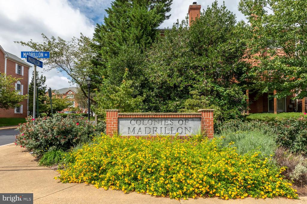 8165 MADRILLON COURT