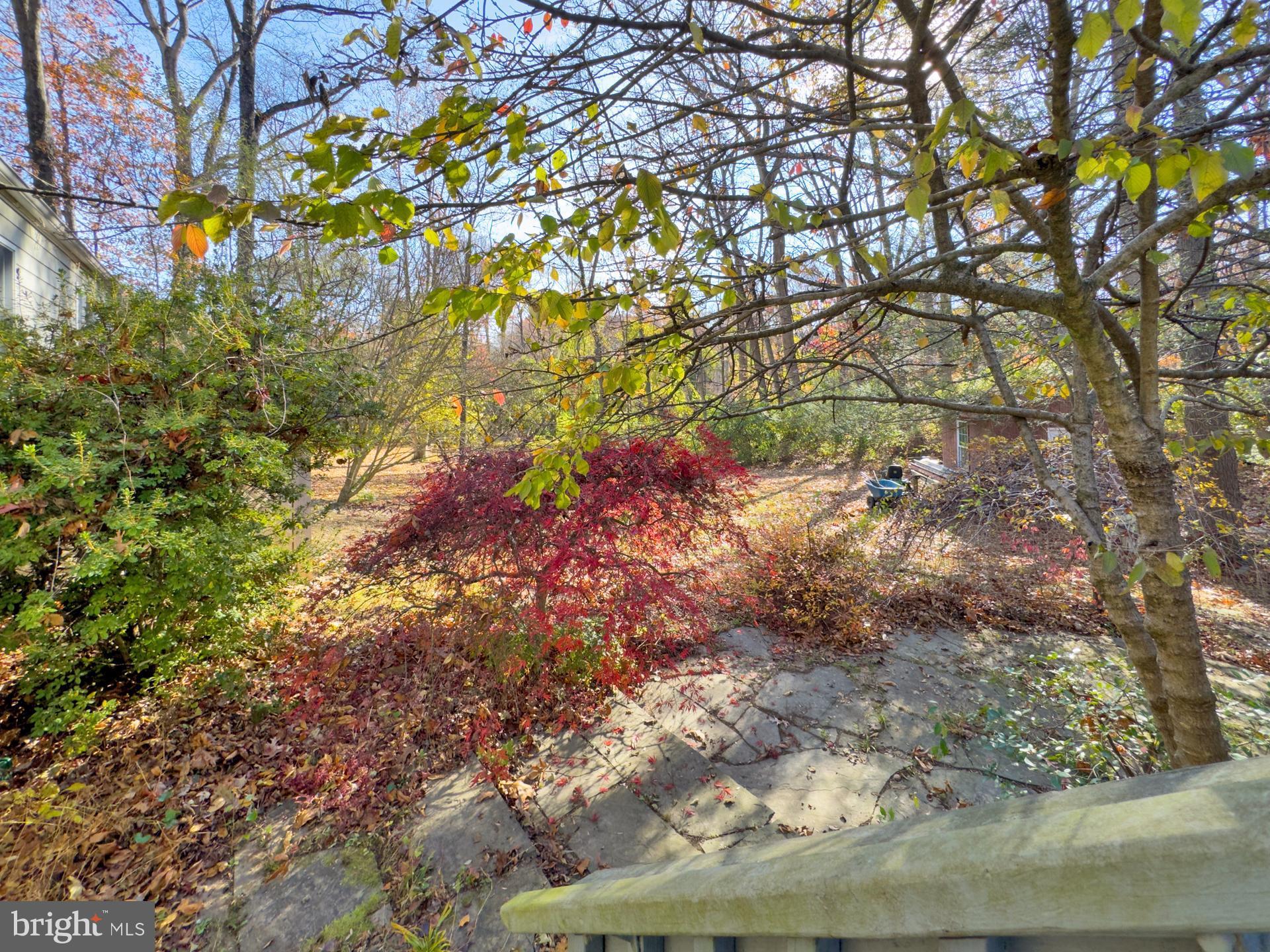 11415 FAIRFAX STATION ROAD