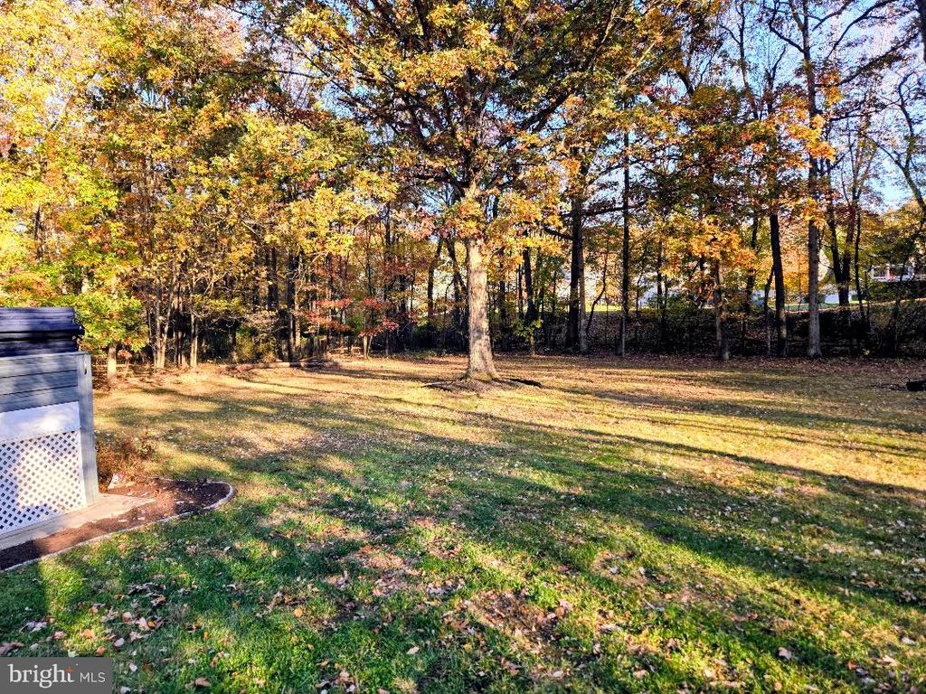 2335 ROSEDOWN DRIVE