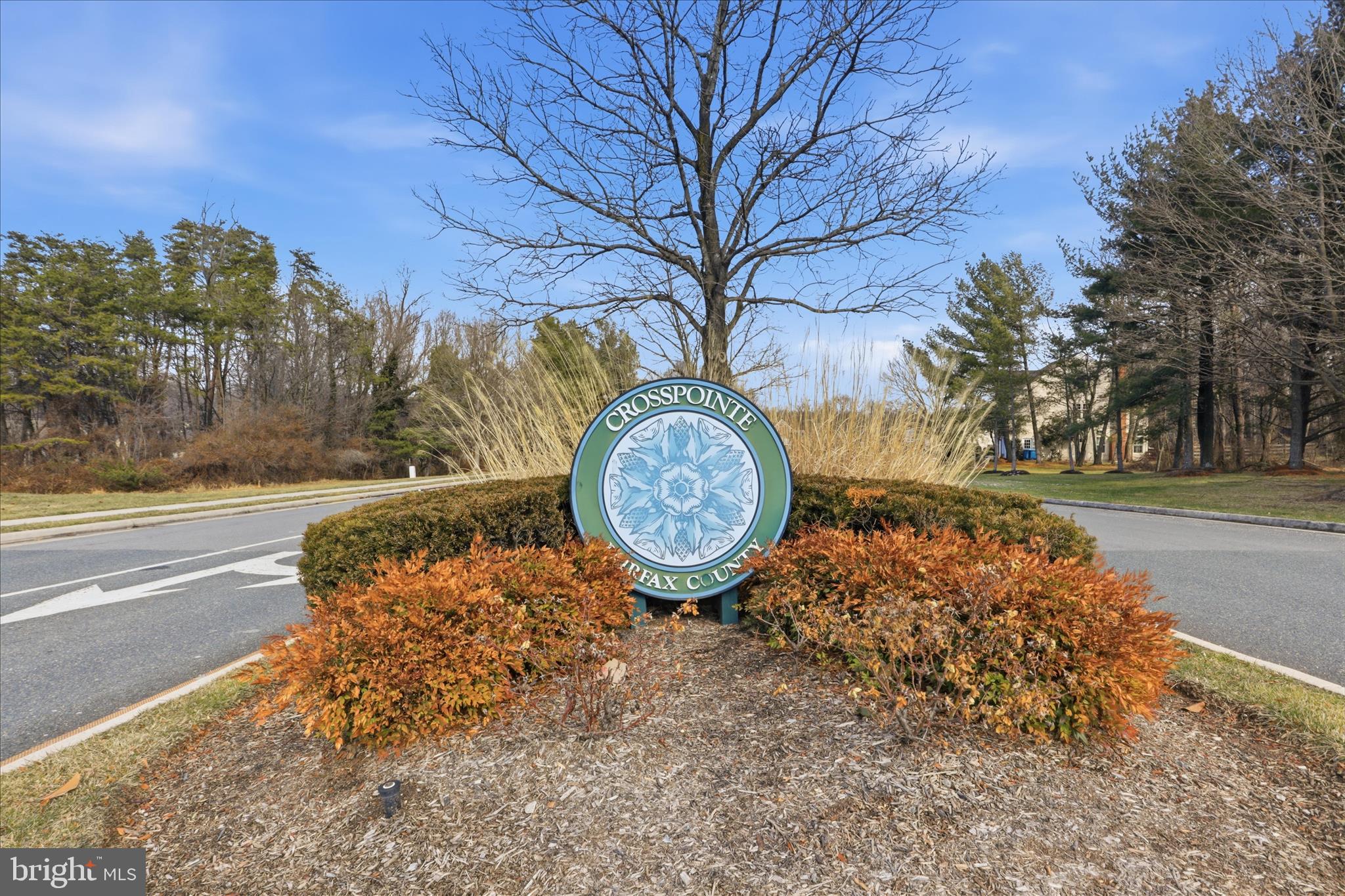 9111 WOOD SPICE LANE