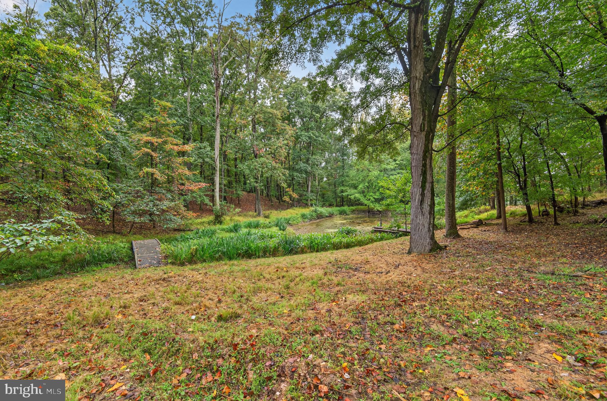 11600 BLUE RIDGE LANE