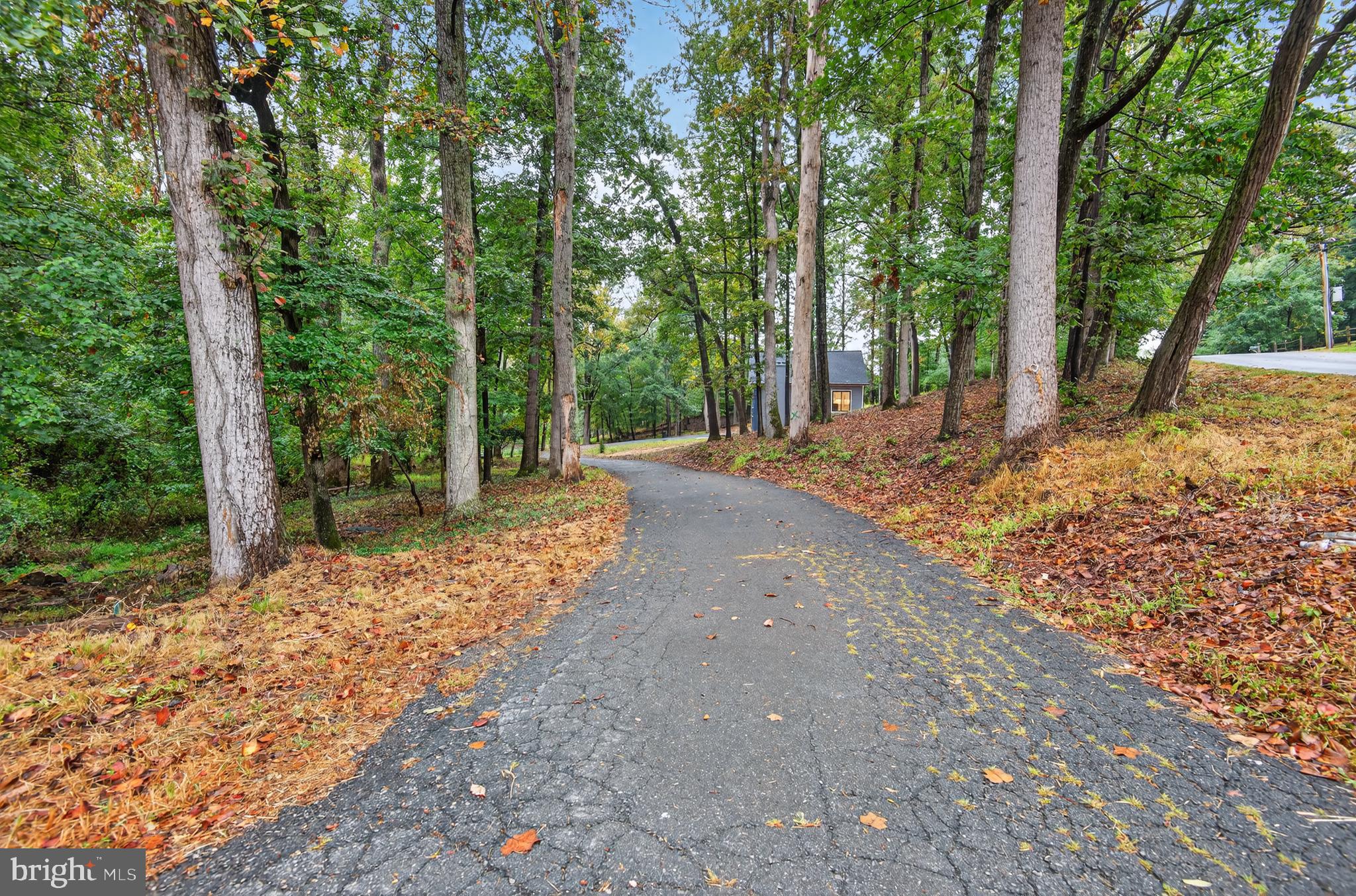 11600 BLUE RIDGE LANE