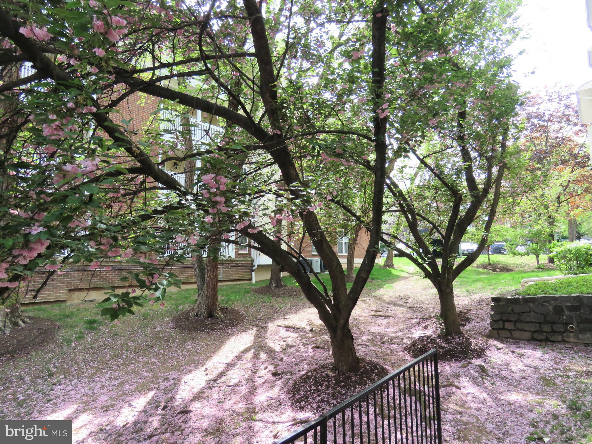 1532 LINCOLN WAY 203