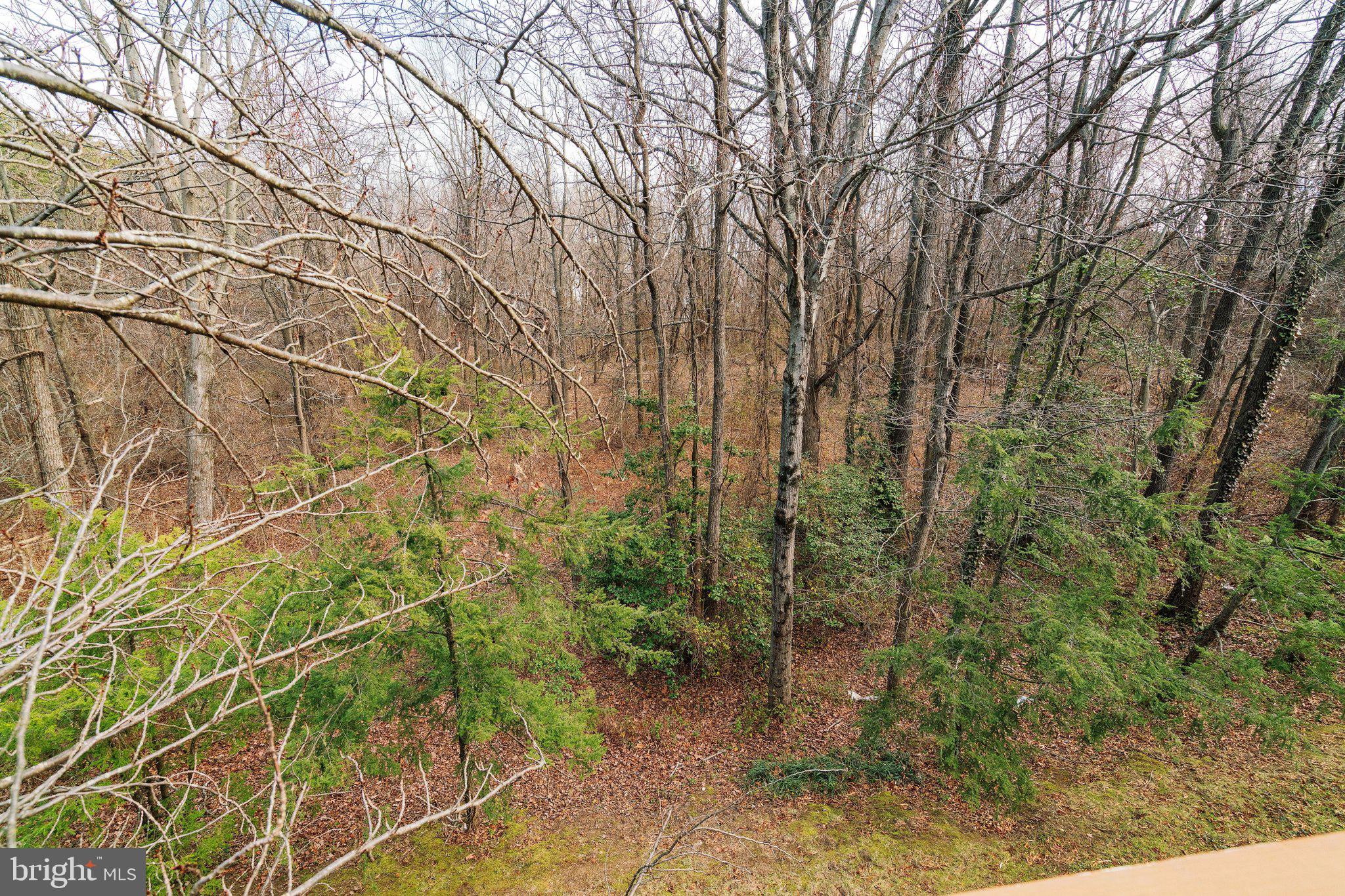 6142 MANCHESTER PARK CIRCLE