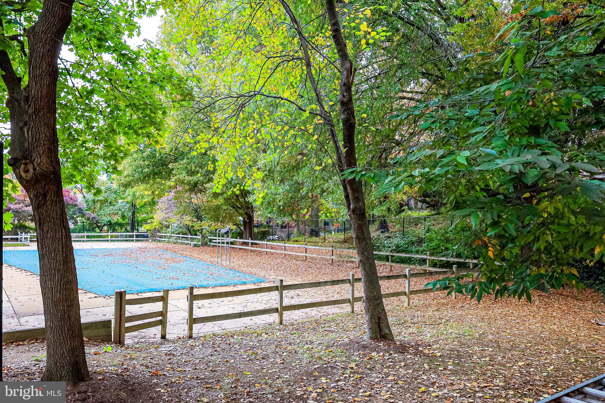 5612 BLOOMFIELD DRIVE 204