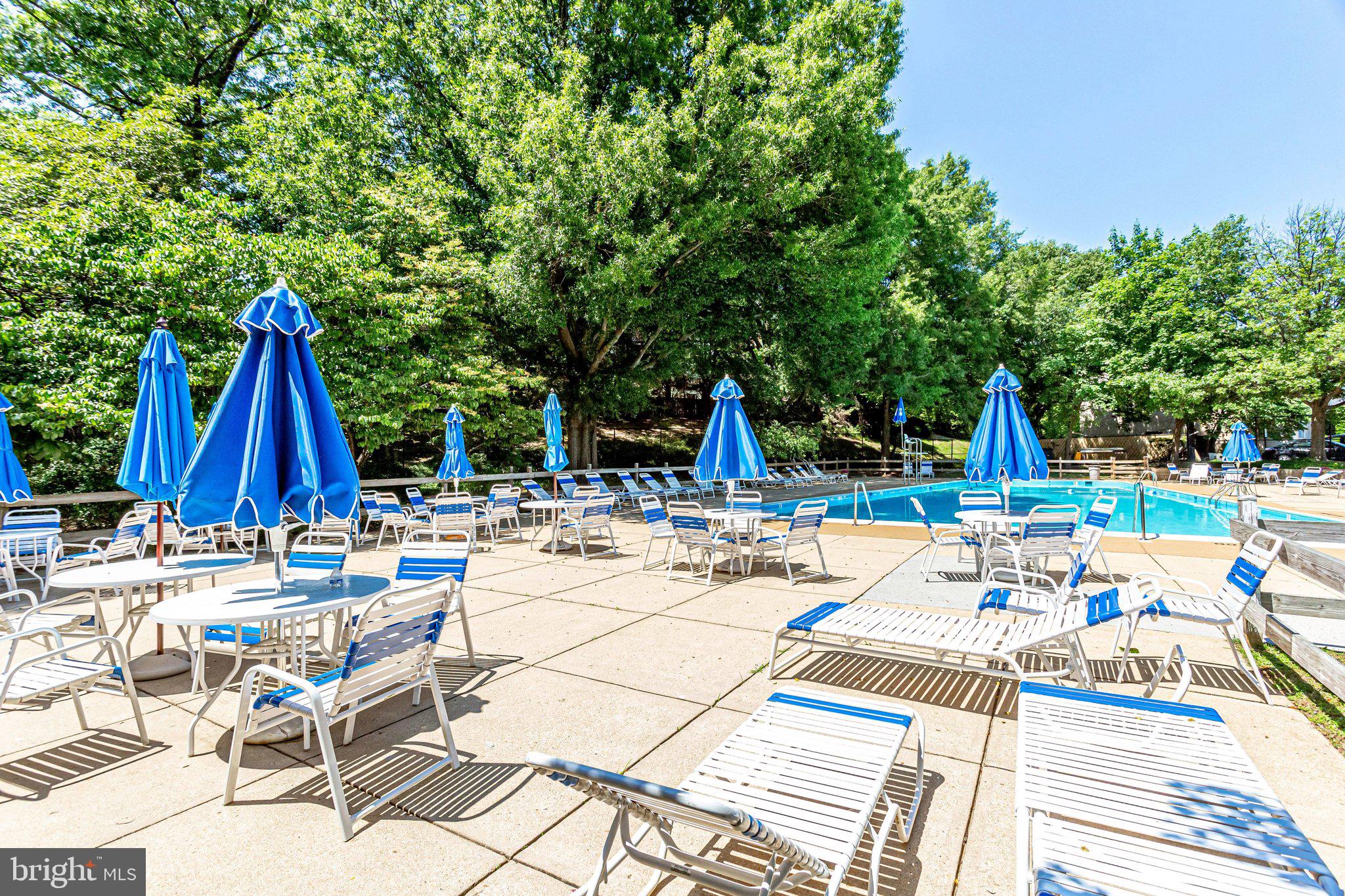 5612 BLOOMFIELD DRIVE 204