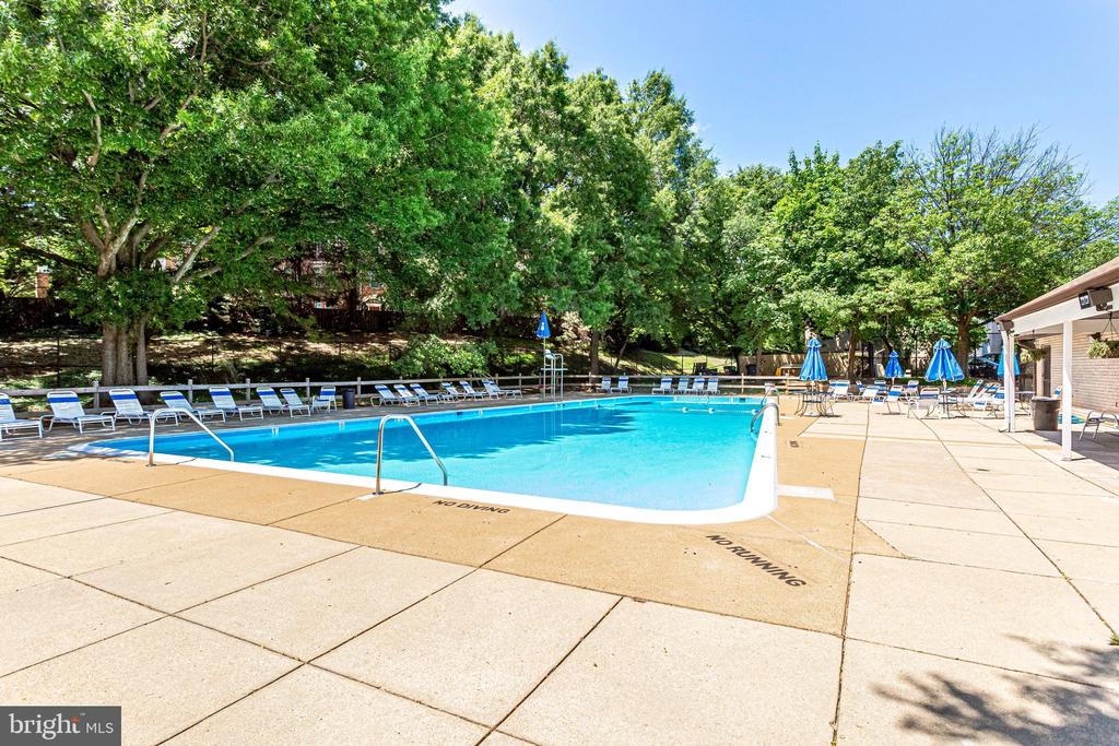 5612 BLOOMFIELD DRIVE 204