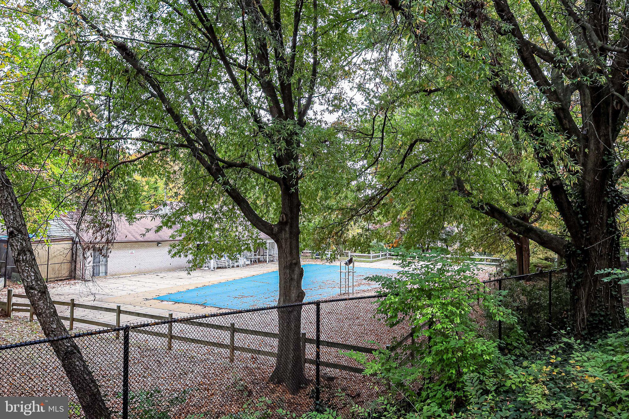 5612 BLOOMFIELD DRIVE 204