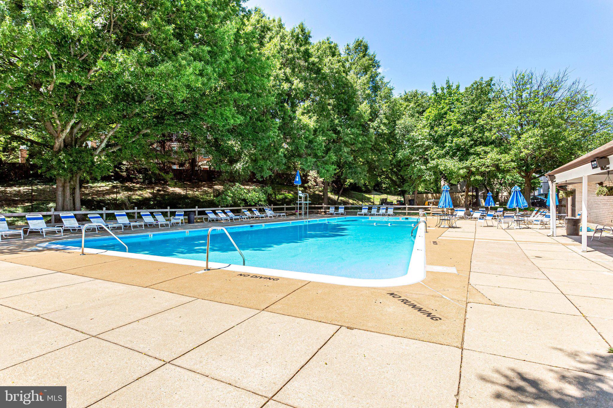 5612 BLOOMFIELD DRIVE 204