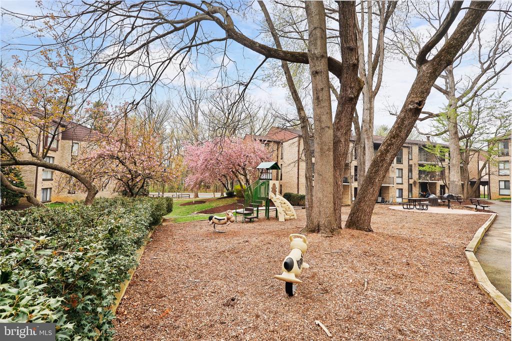 2037 ROYAL FERN COURT 47/2C