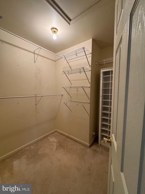 2506 CLOVER FIELD CIRCLE