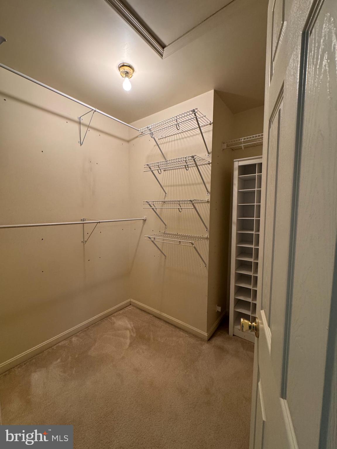 2506 CLOVER FIELD CIRCLE