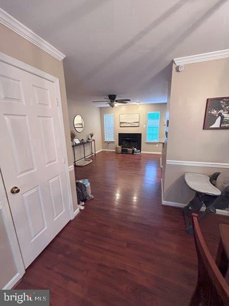 13964 ANTONIA FORD COURT