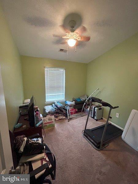 13964 ANTONIA FORD COURT