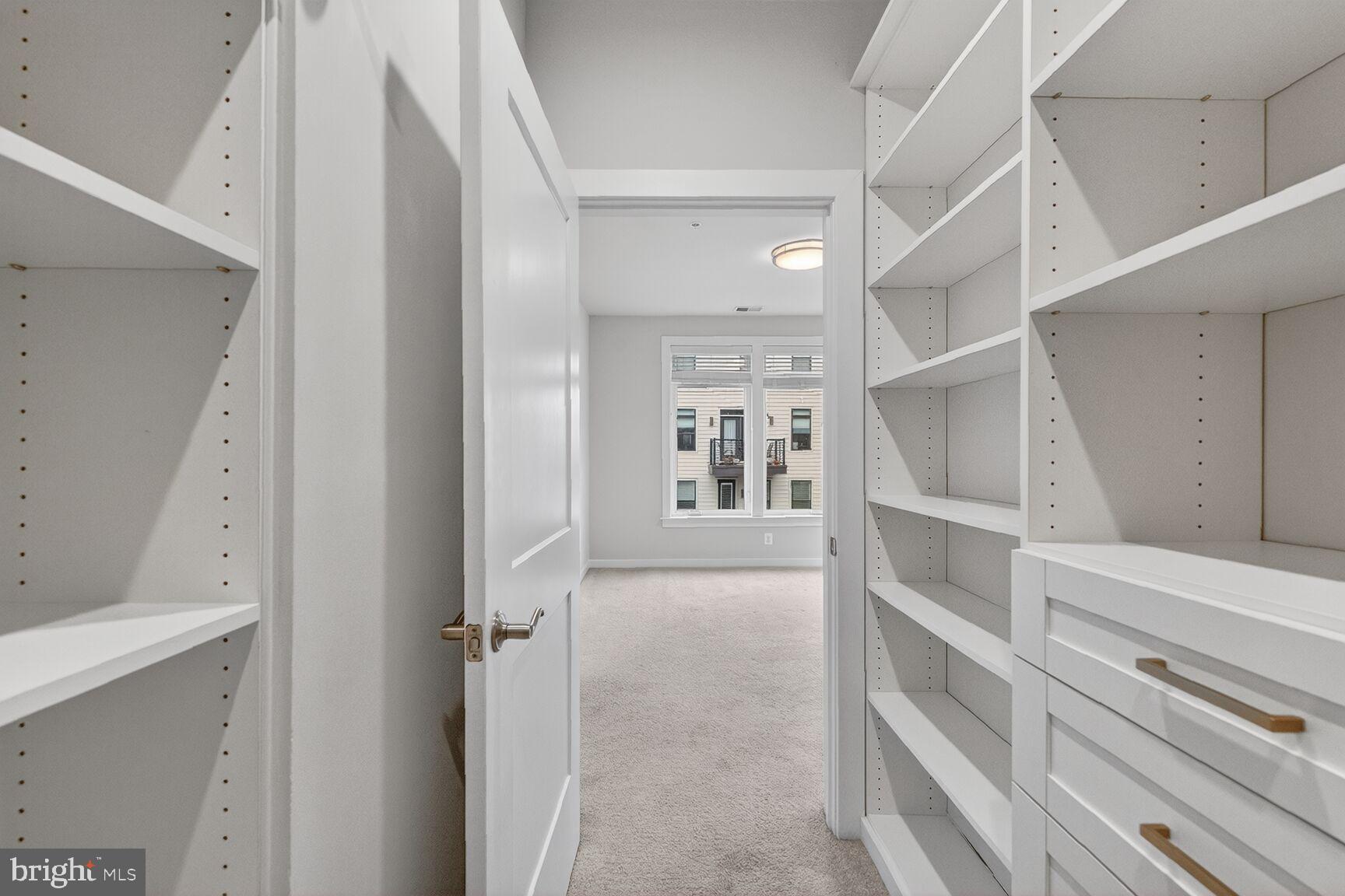 1669 BANDIT LOOP 301A