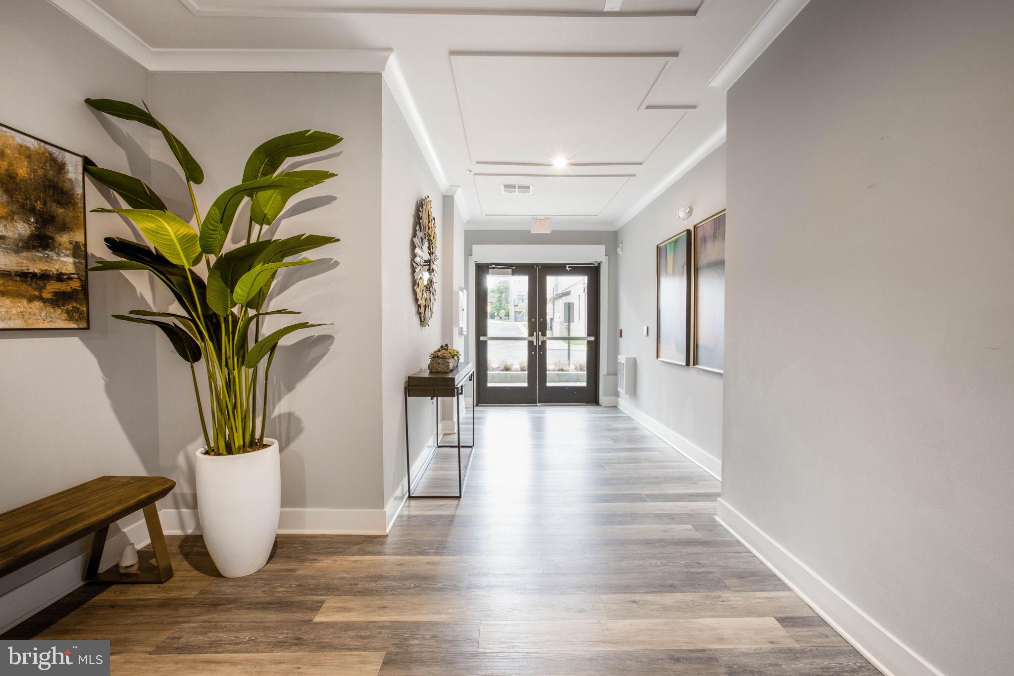 1669 BANDIT LOOP 301A