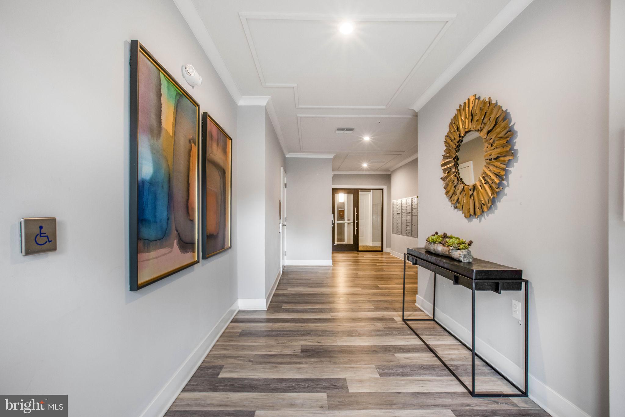 1669 BANDIT LOOP 301A