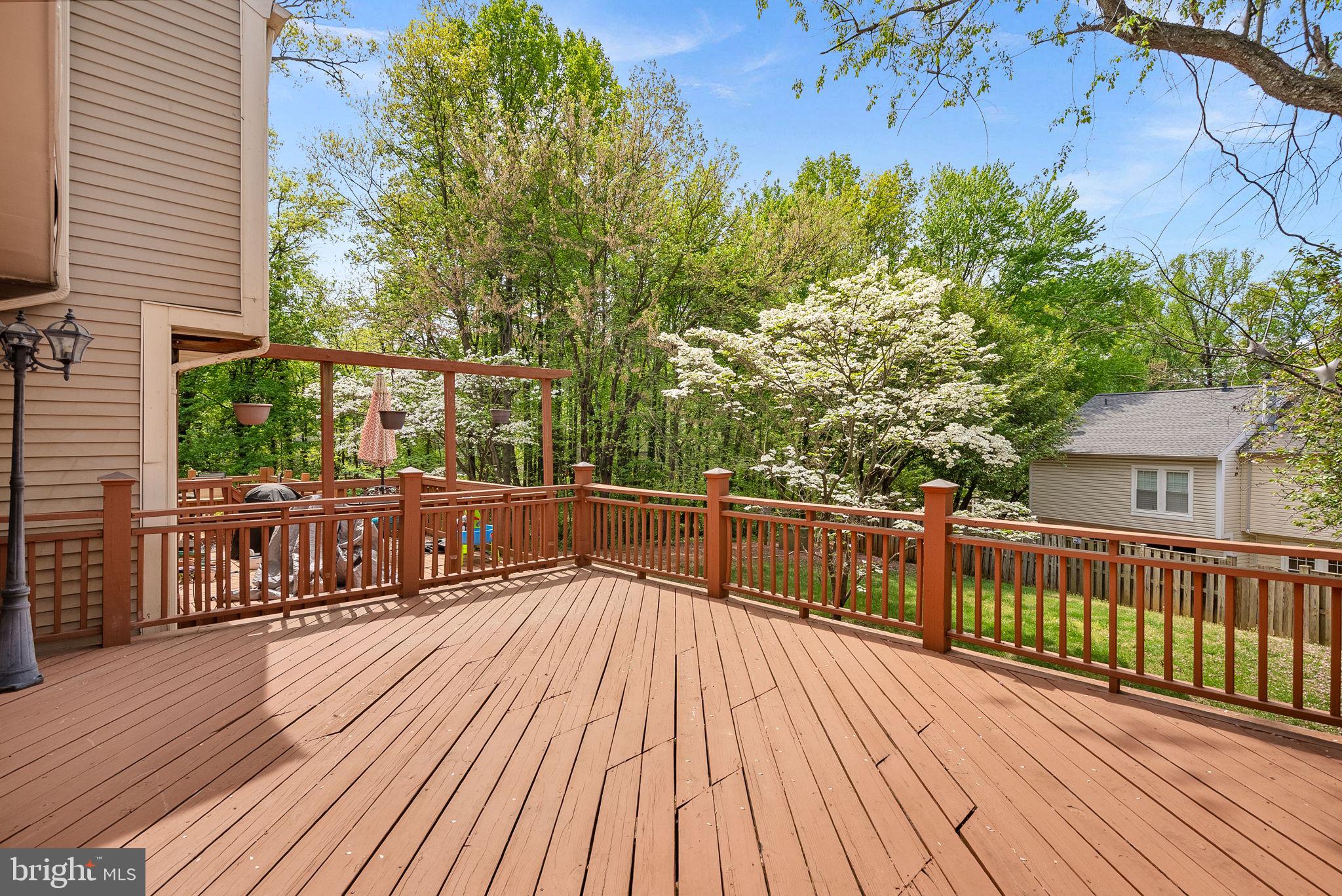 12541 ALDER WOODS DRIVE