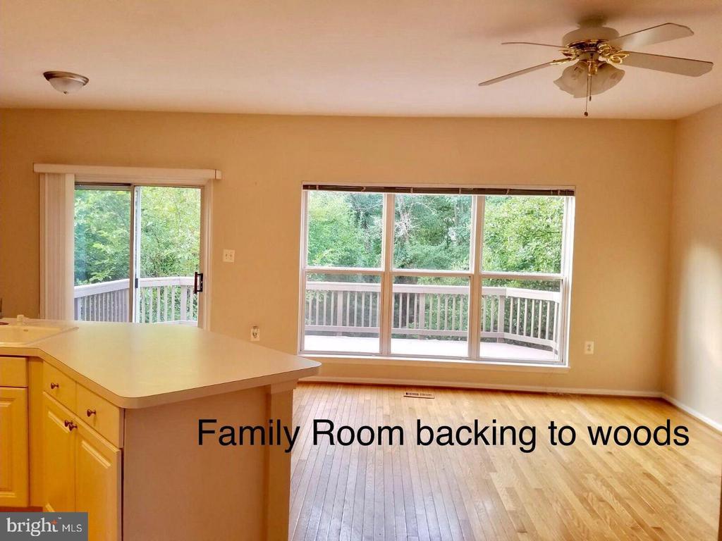 13118 FOREST MIST LANE