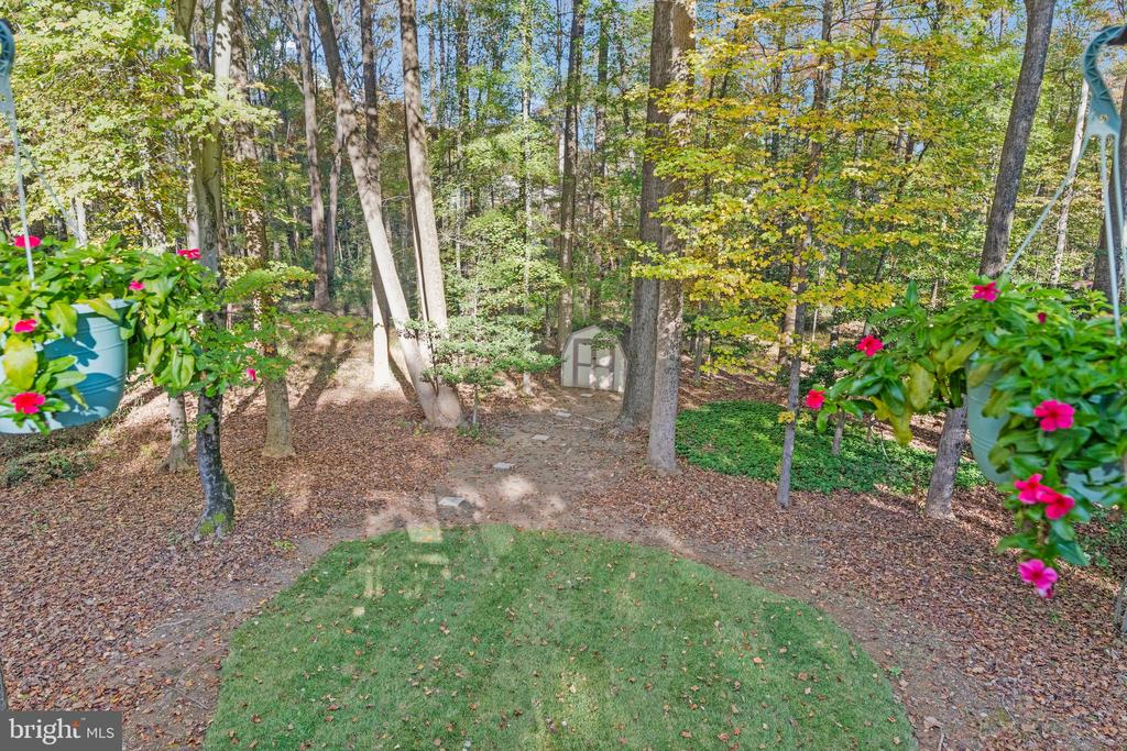 11181 LONGWOOD GROVE DRIVE