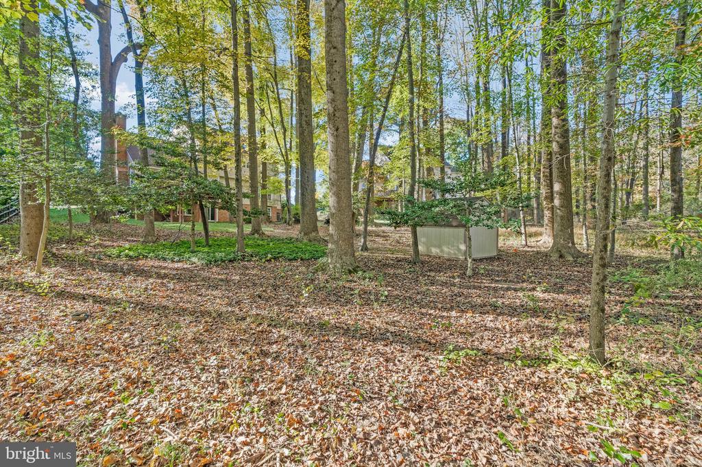11181 LONGWOOD GROVE DRIVE