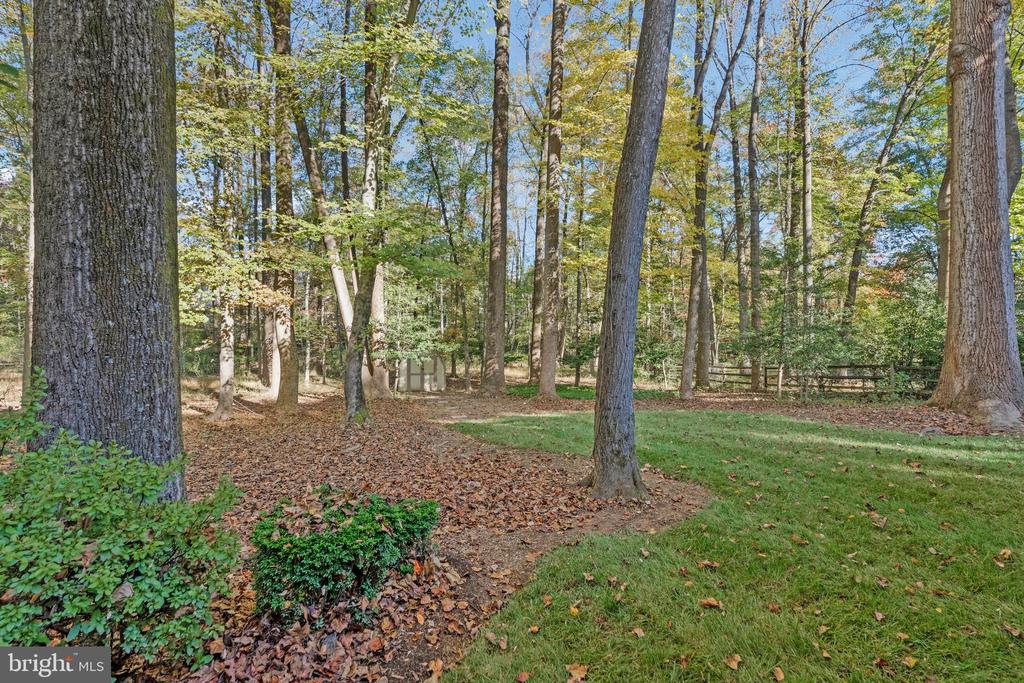 11181 LONGWOOD GROVE DRIVE