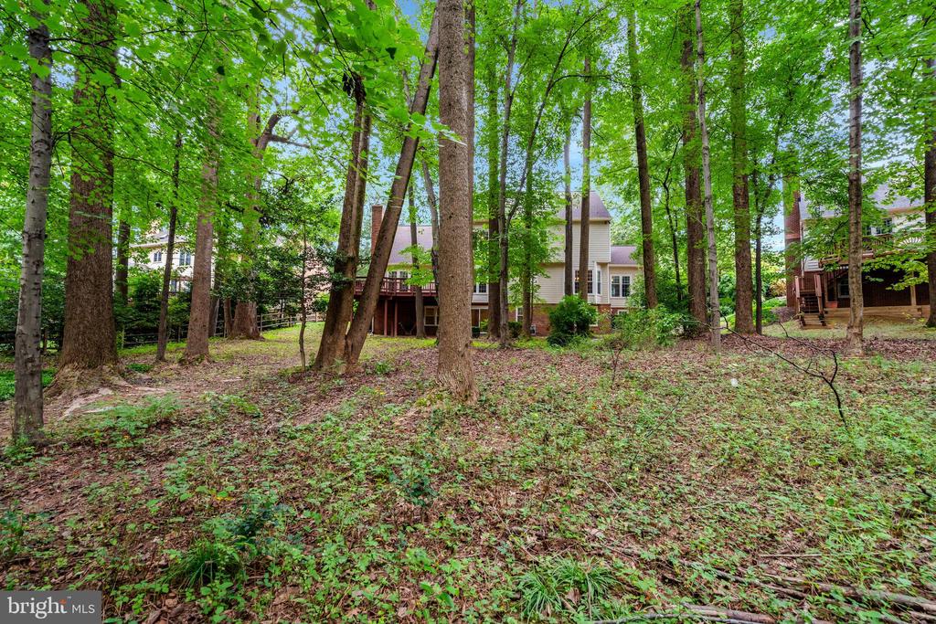 11181 LONGWOOD GROVE DRIVE