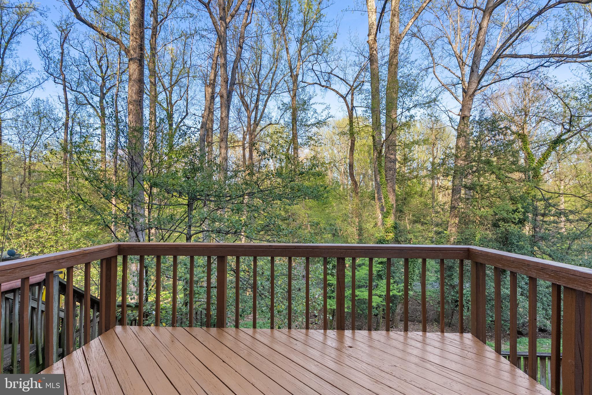 2346 MILLENNIUM LANE