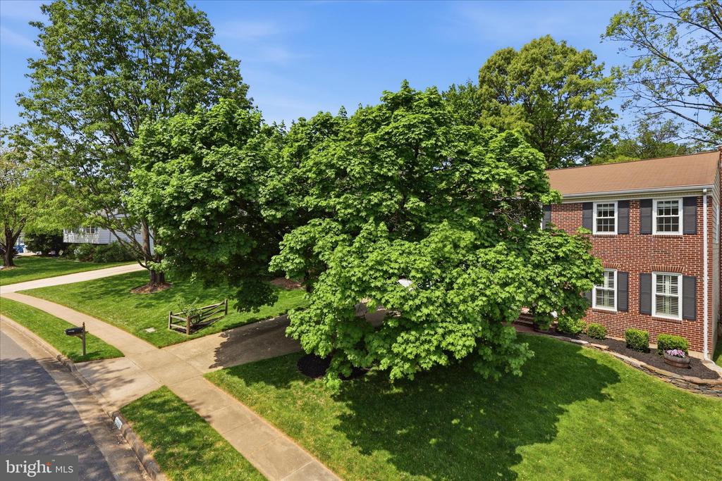 5208 RUFFNER WOODS COURT