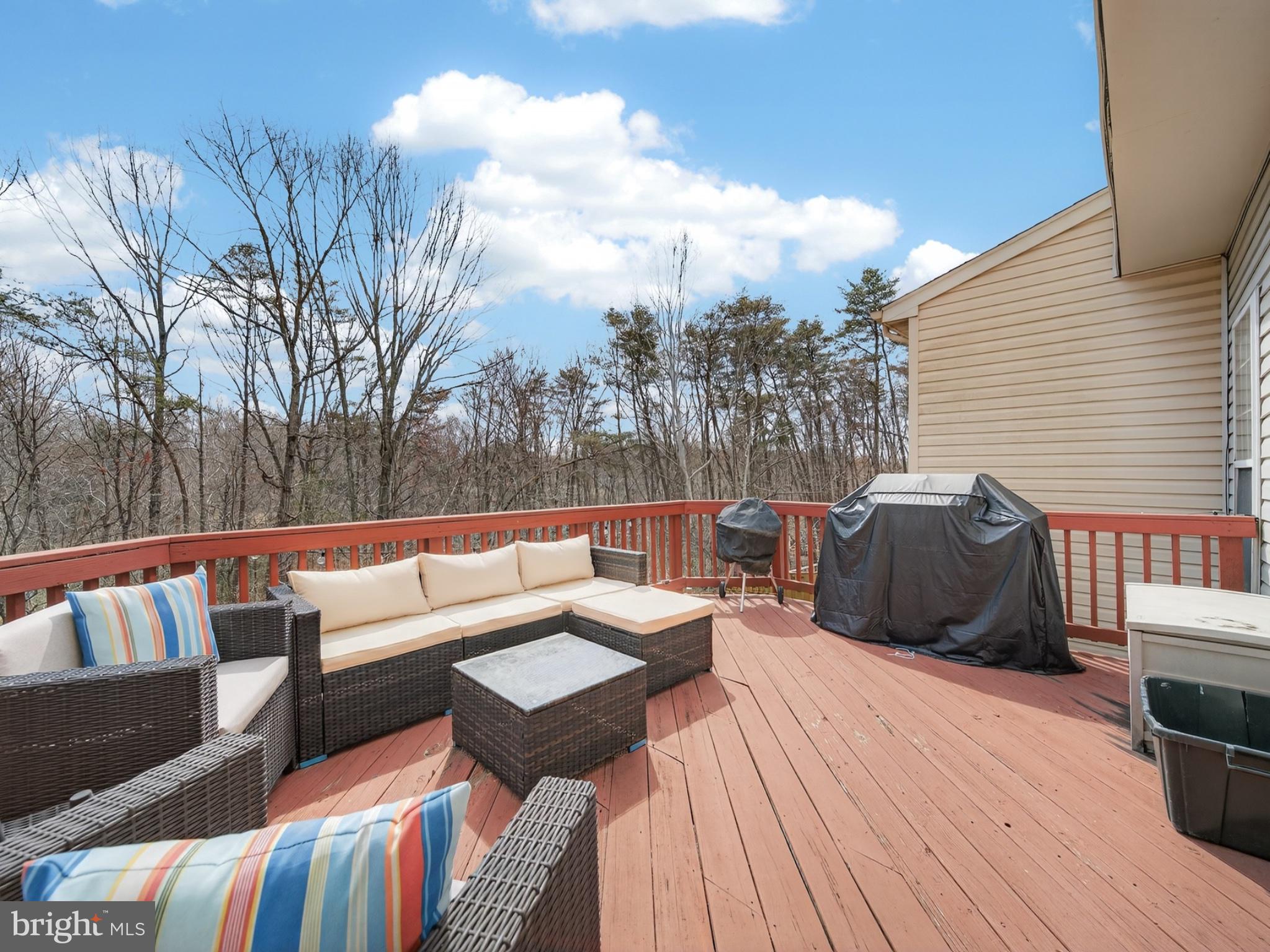 14334 STONEWATER COURT