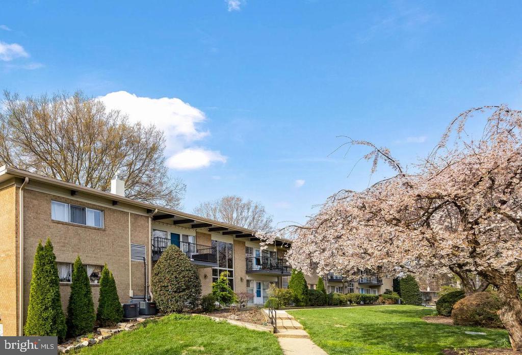 4909 AMERICANA DRIVE 106