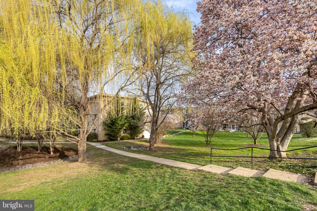 4909 AMERICANA DRIVE 106