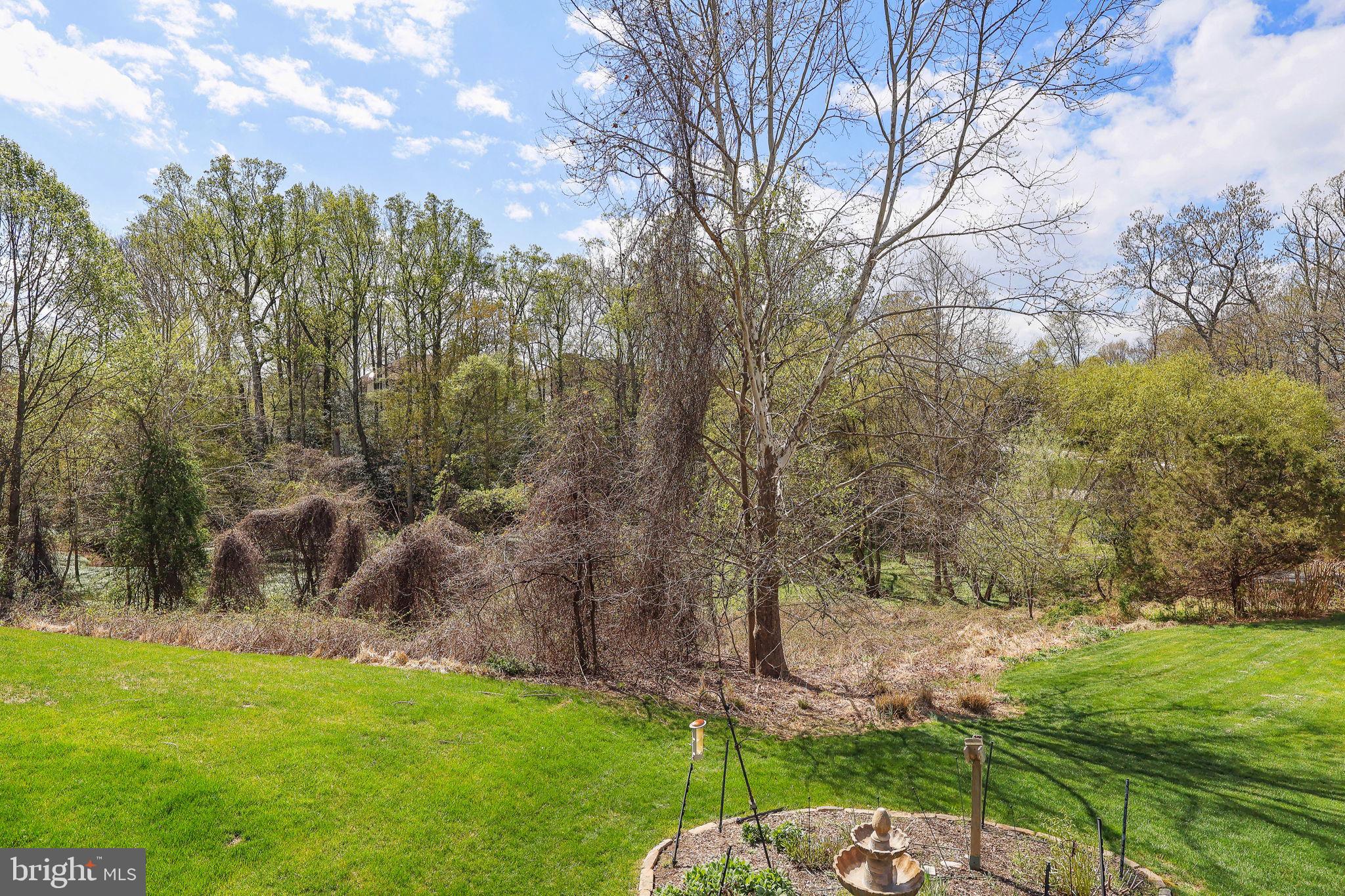 1452 CARRINGTON RIDGE LANE