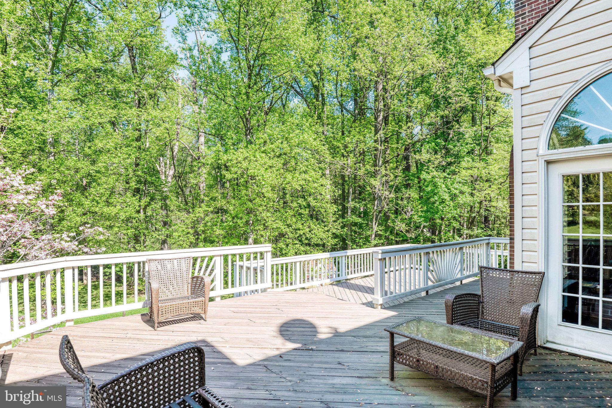 11224 DEVEREUX MANOR LANE