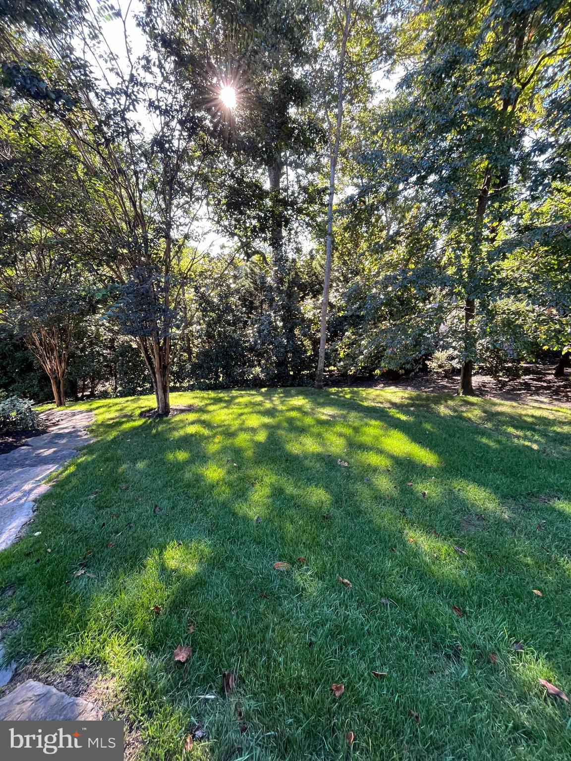 1239 DALEVIEW DRIVE