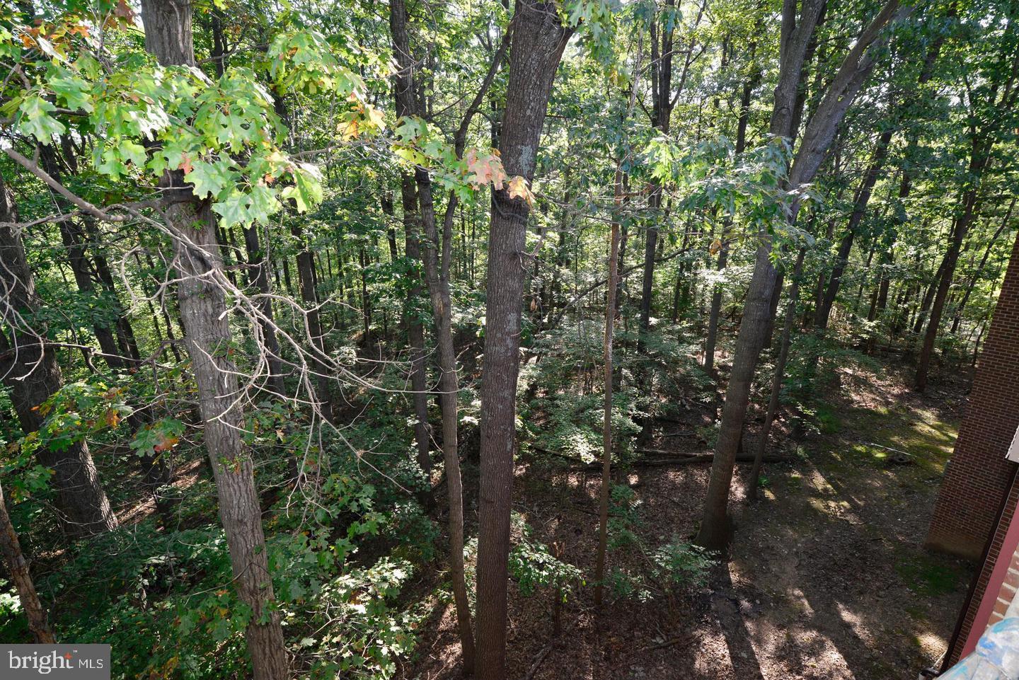 11803 BRETON COURT 32C