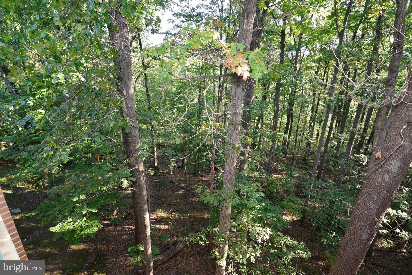 11803 BRETON COURT 32C