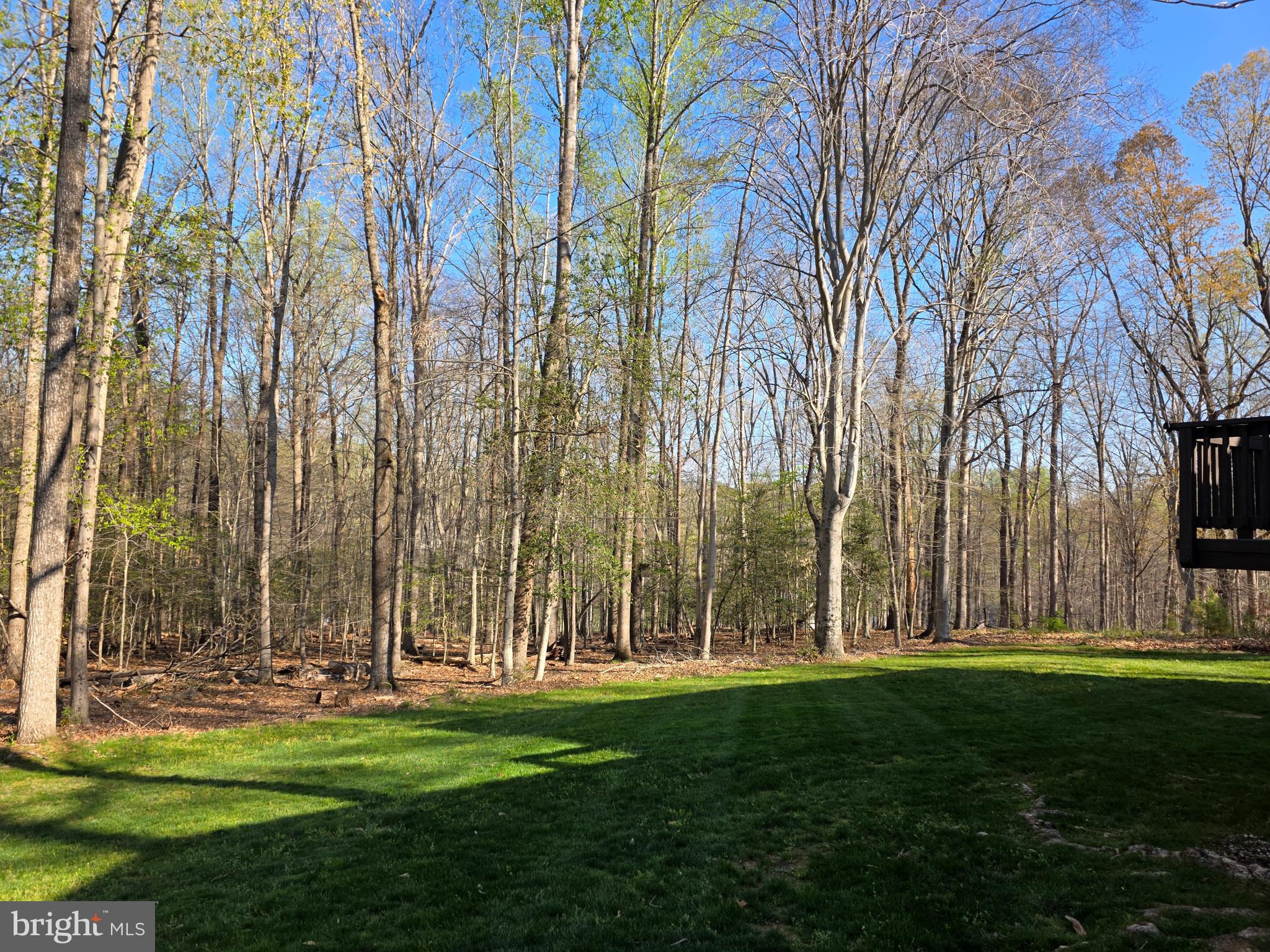 10720 SANDY RUN TRAIL