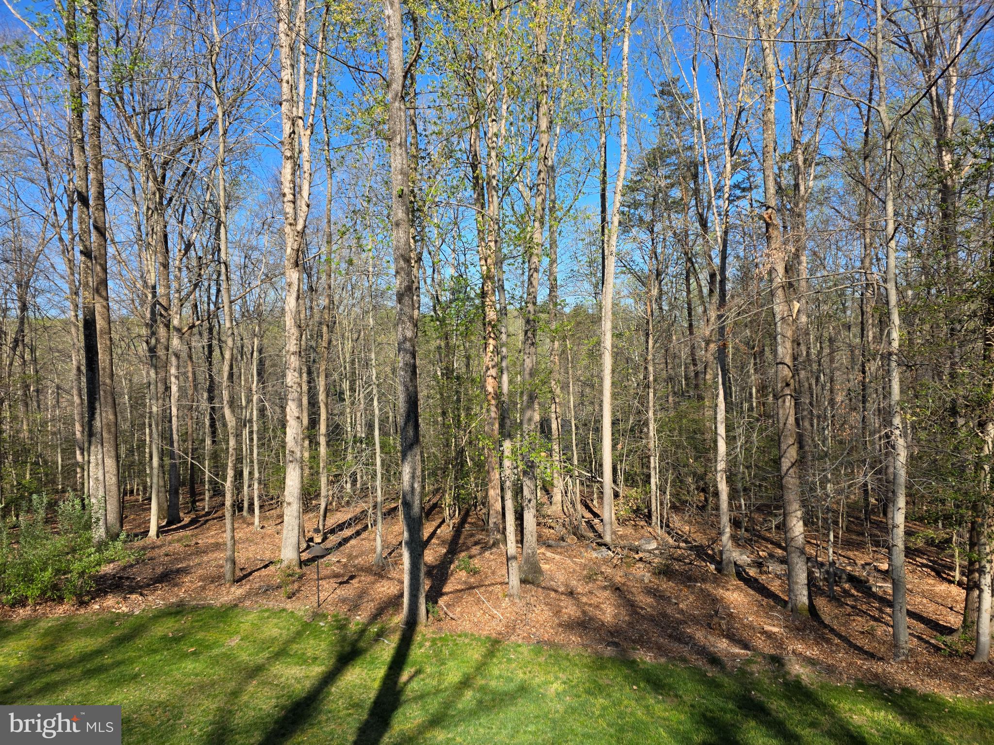 10720 SANDY RUN TRAIL