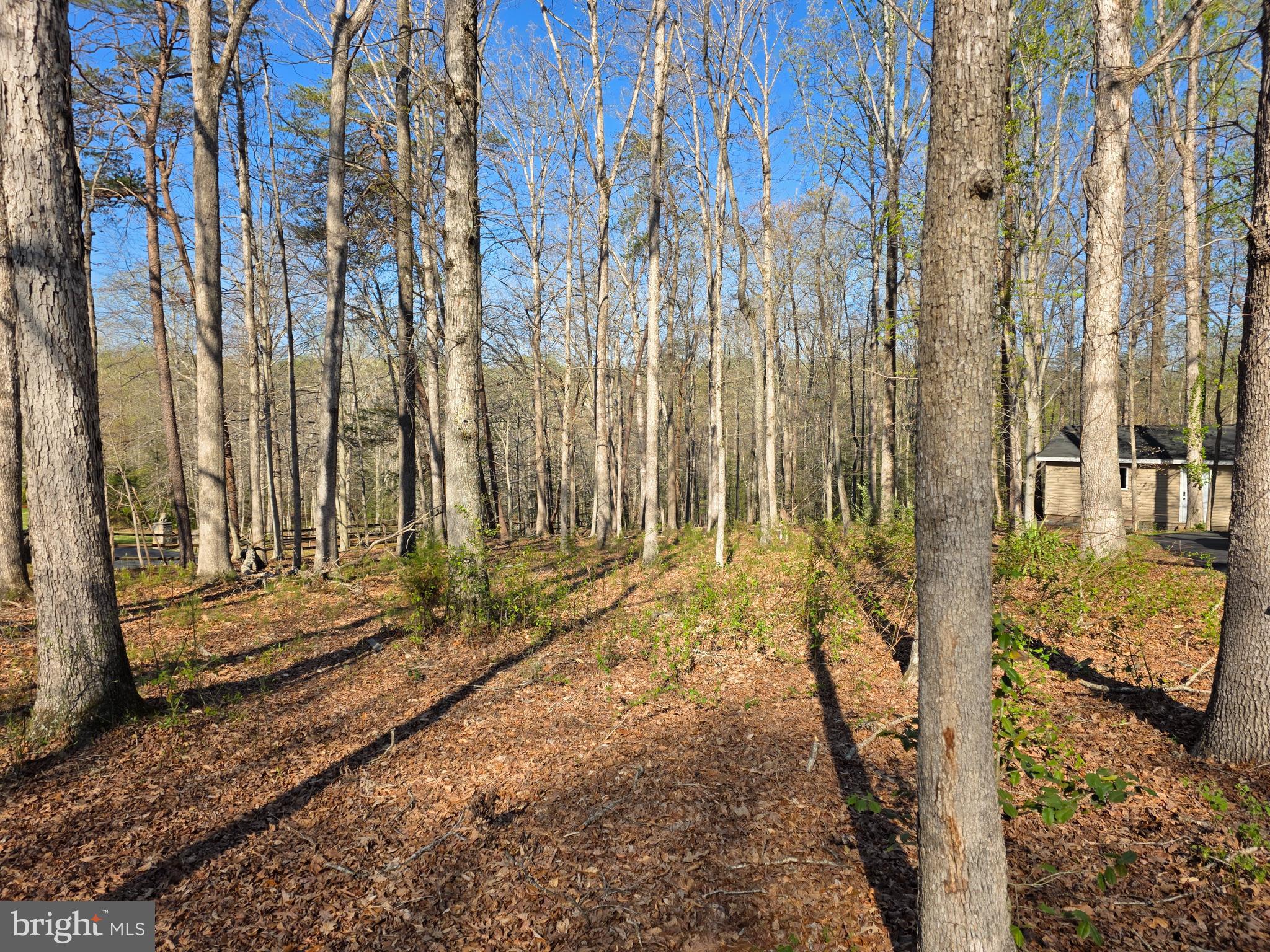 10720 SANDY RUN TRAIL