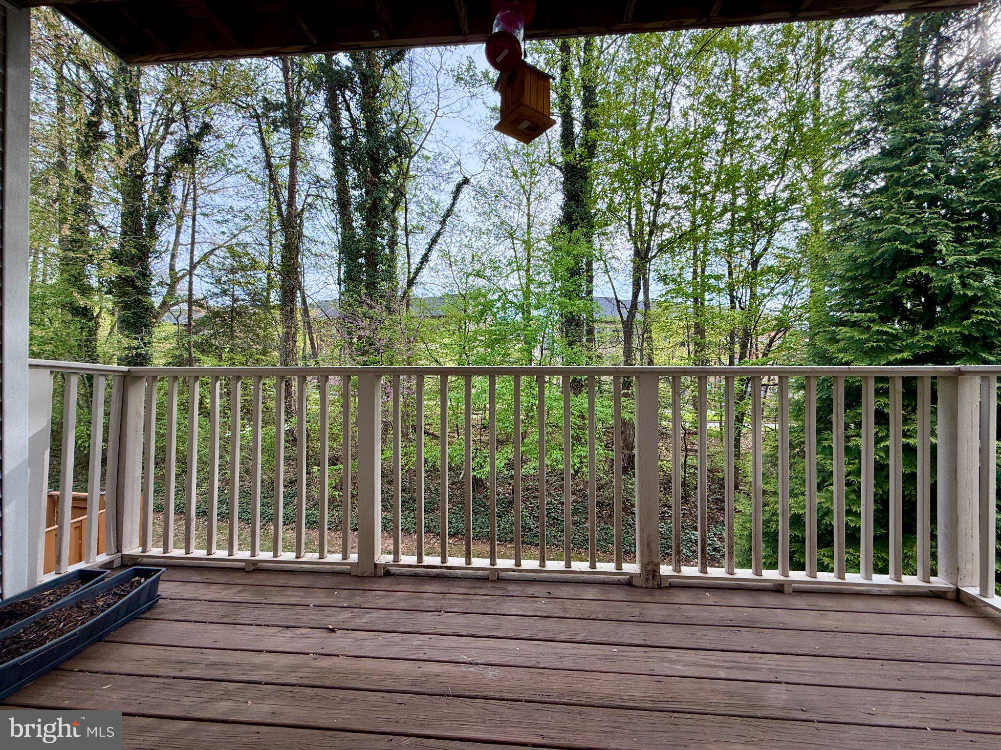 12481 HAYES COURT 204