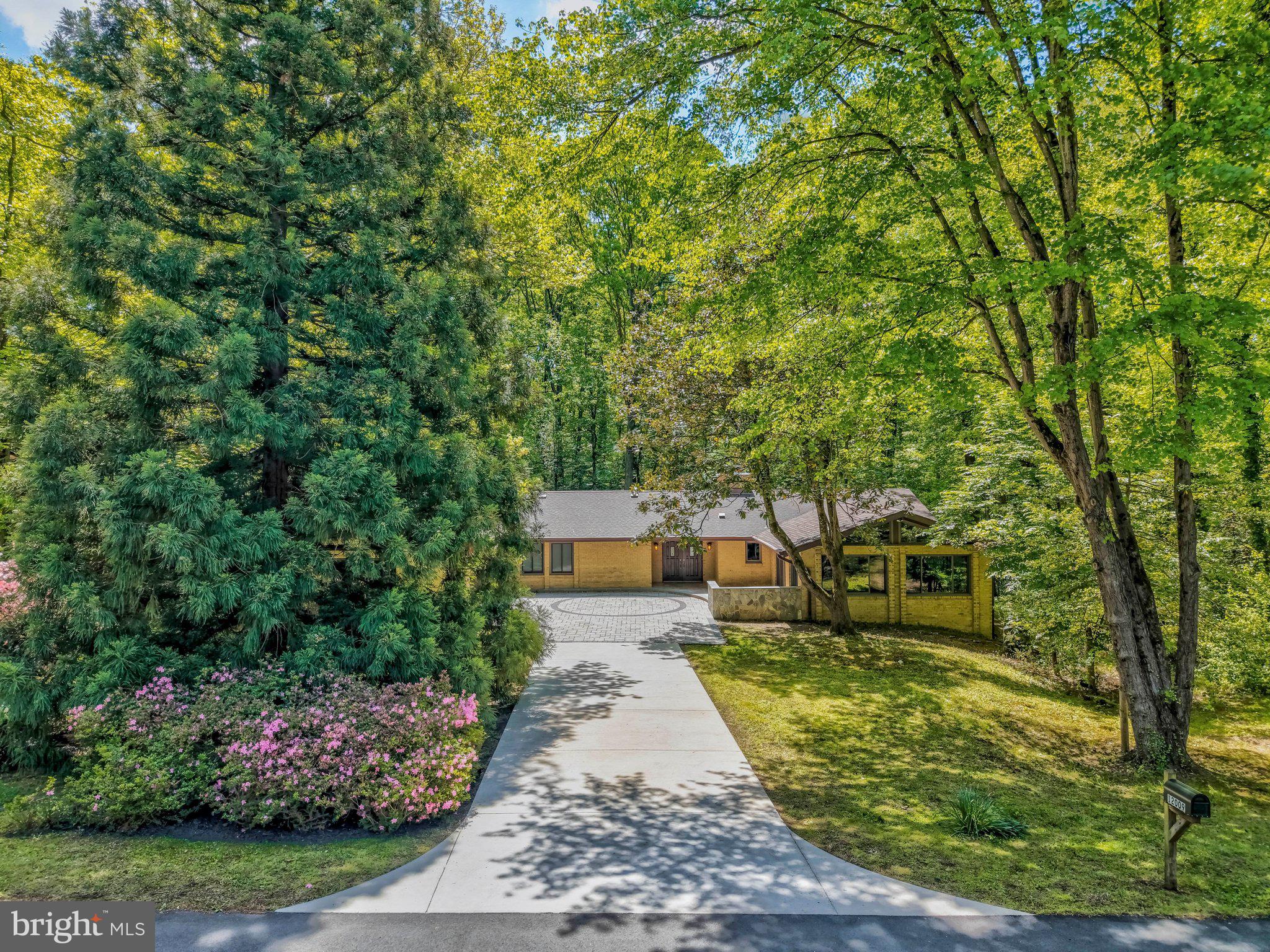 12009 CANTER LANE
