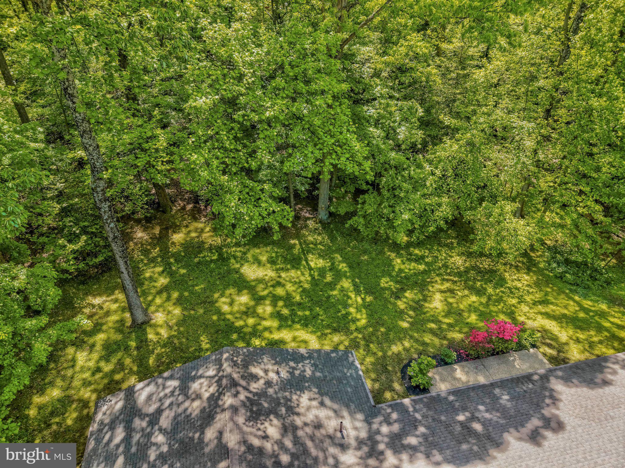12009 CANTER LANE