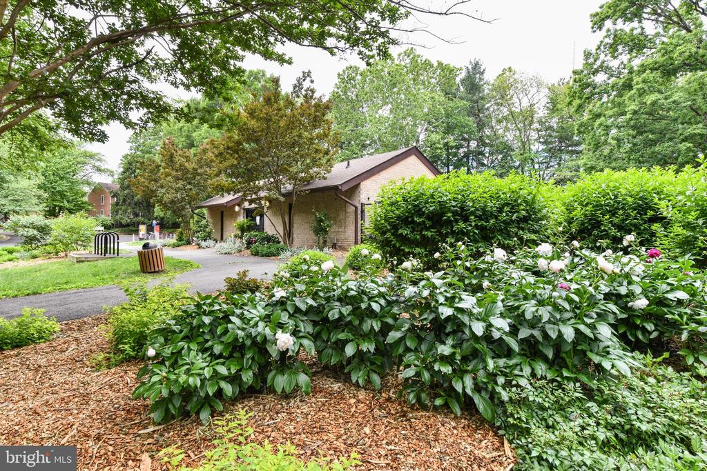 11701 NEWBRIDGE COURT