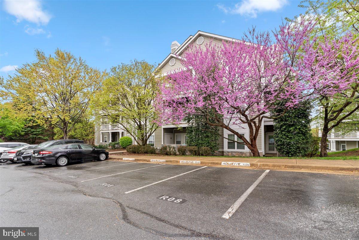 1708 LAKE SHORE CREST DRIVE 24