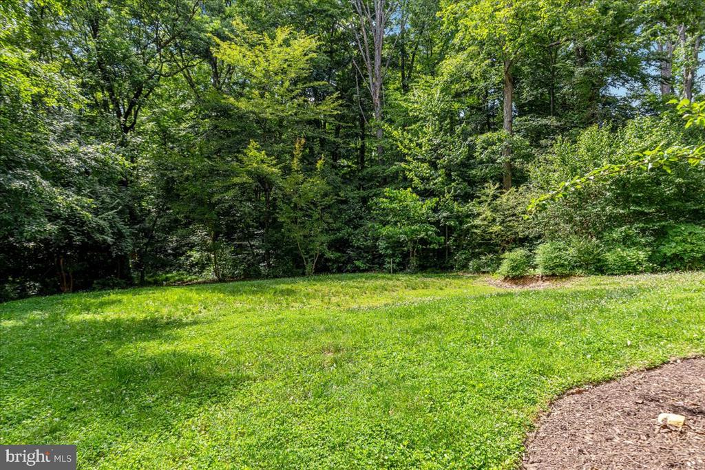 7131 WOODLAND DRIVE