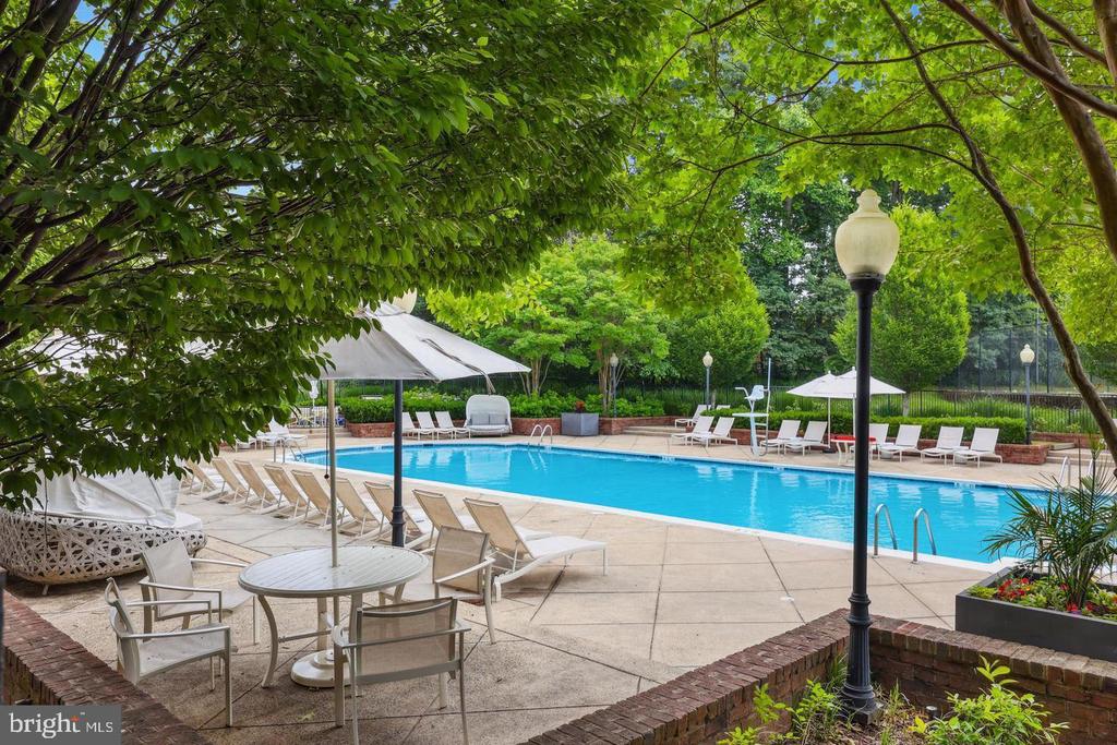 11706 ROCKAWAY LANE Unit: 113